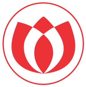 RP Tulipan